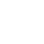 WSE Logo White-Detail-01